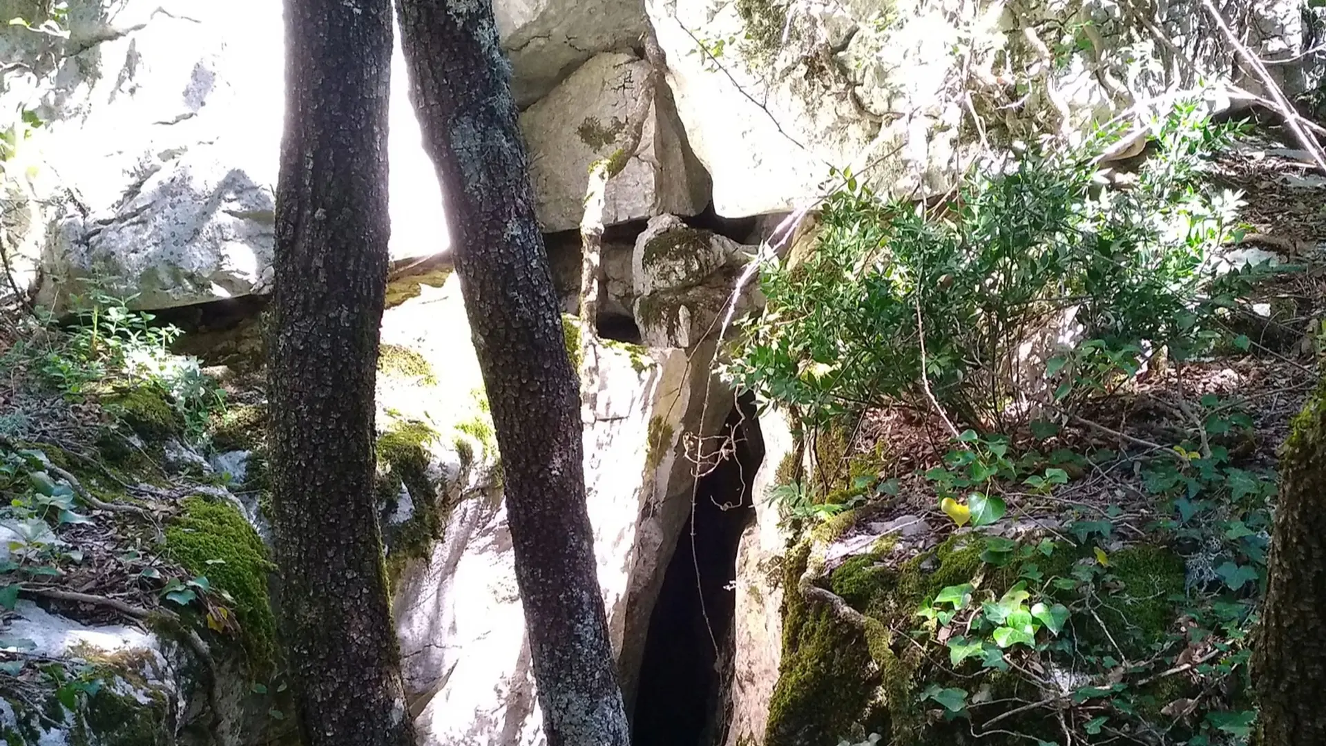 Cavité dans une roche aux abords du sentier