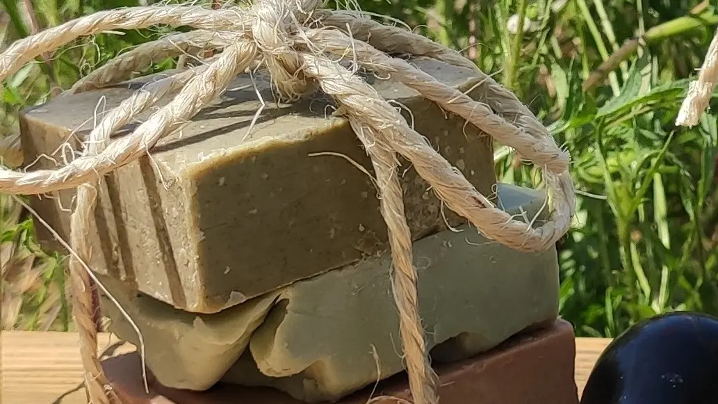 Le Savonnier des Calanques