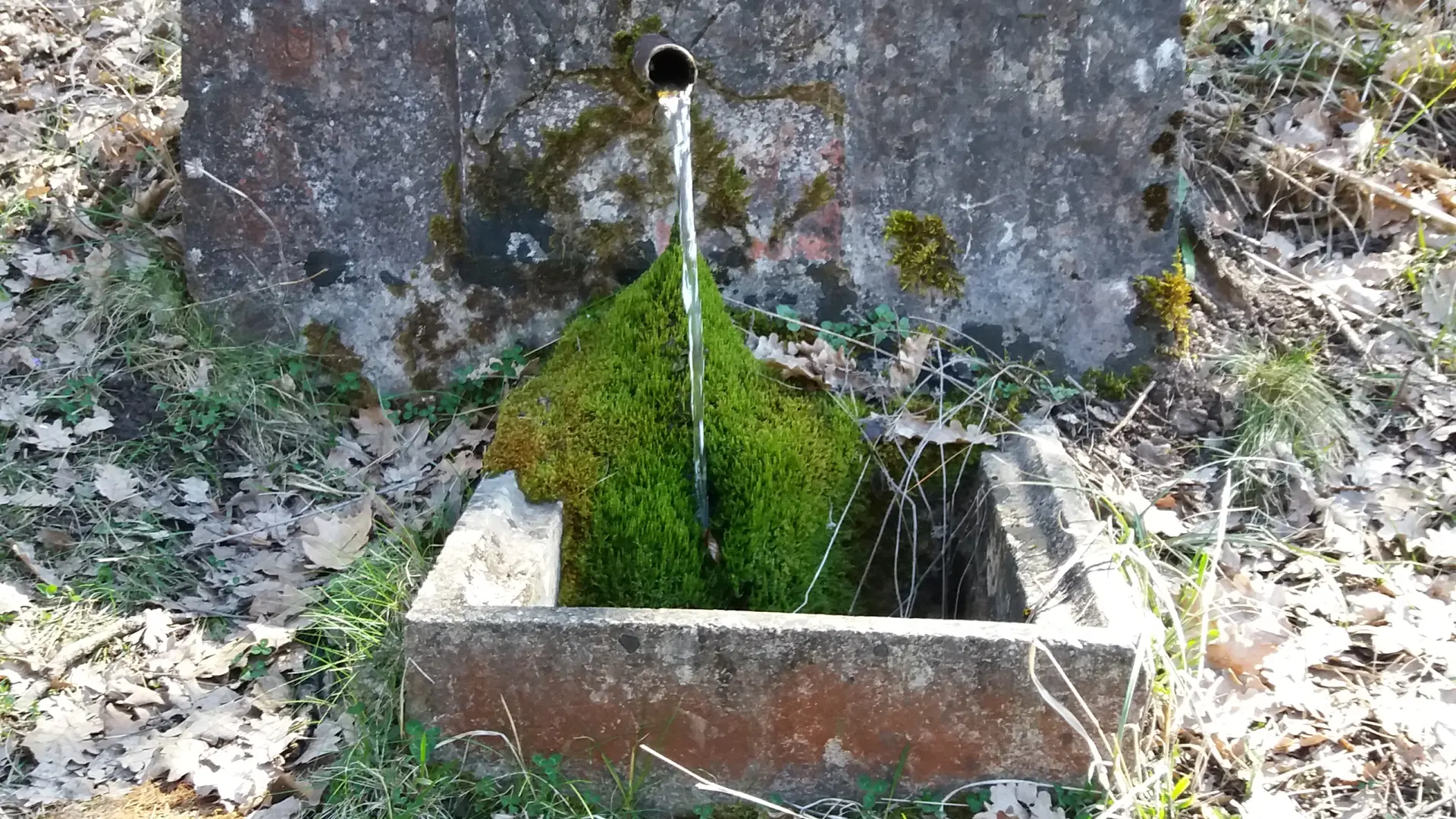 Fontaine Moisson