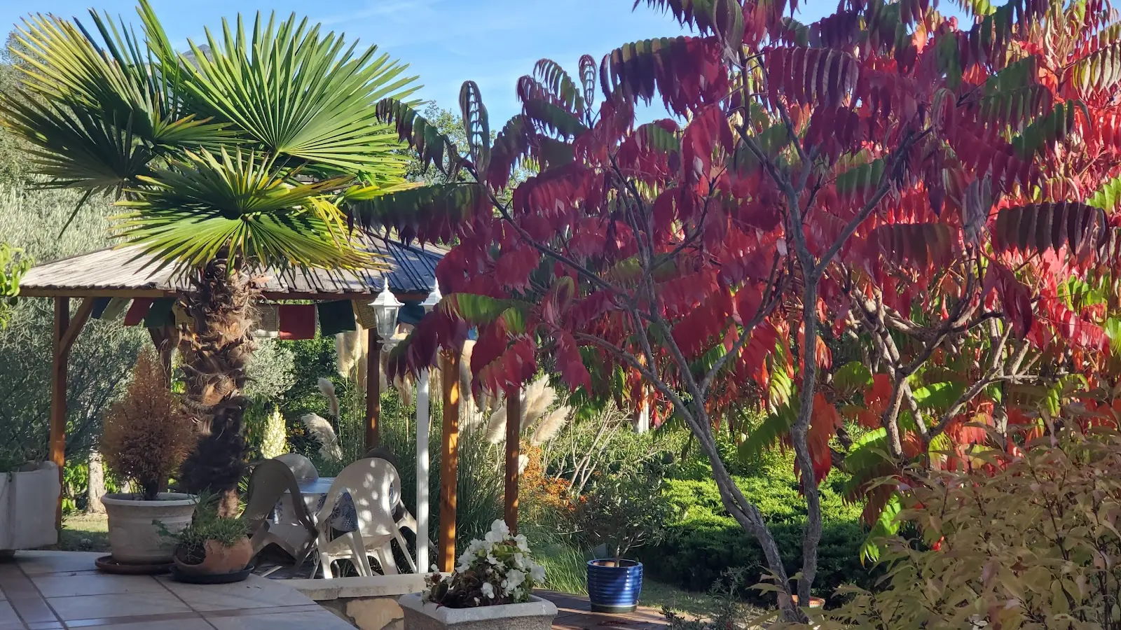 Jardin : terrain de boules et table de ping pong