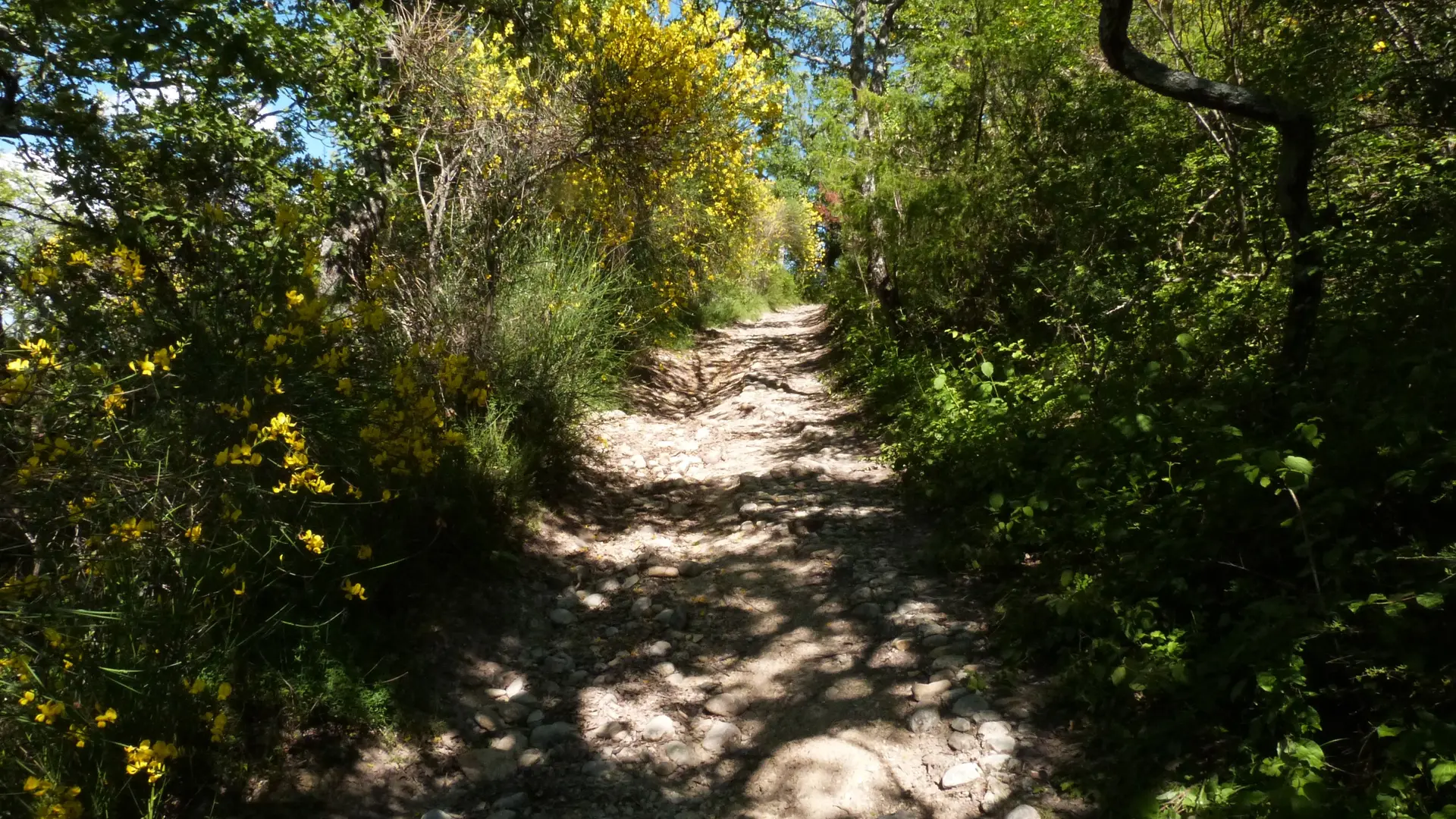 La calade menant à Notre Dame de Bellevue