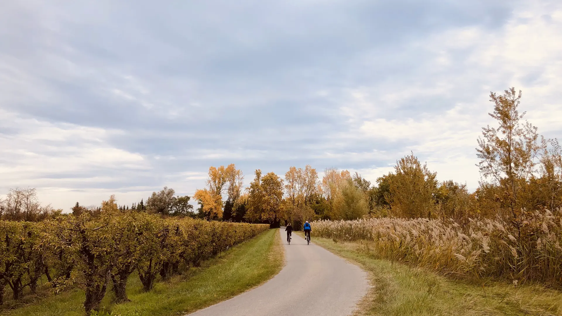 route vélo à Châteauneuf de Gadagne