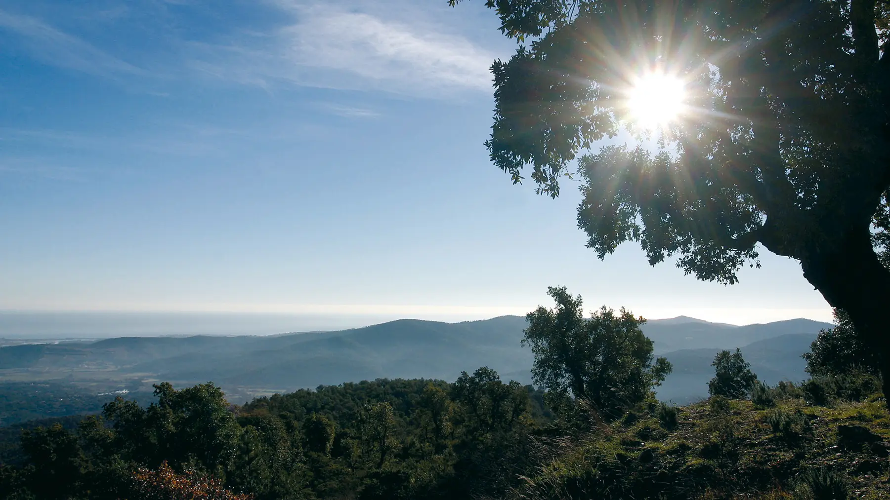 Massif des Maures