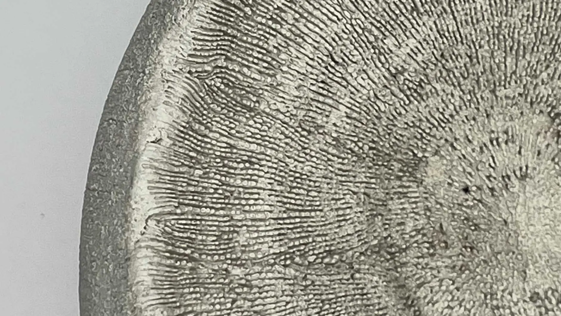 Leandro Marinella Poterie Design