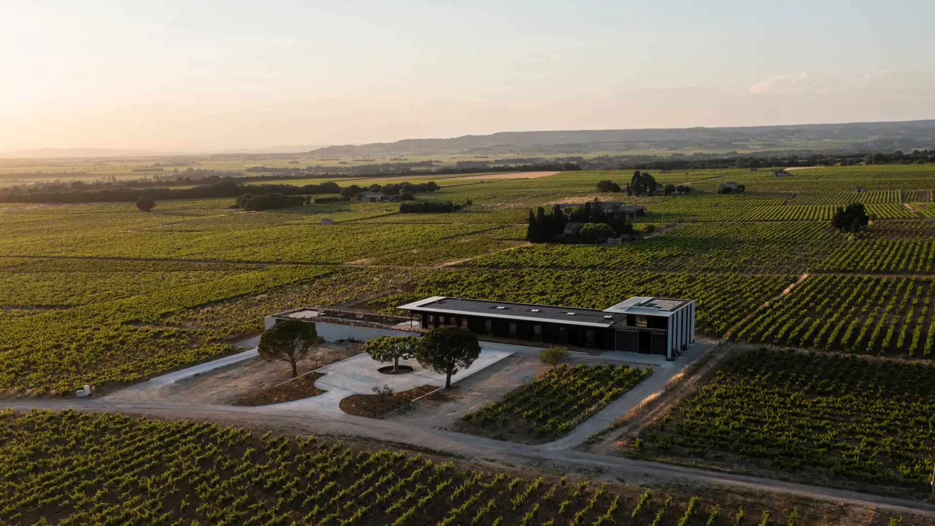 Domaine de Piéblanc - Domaine