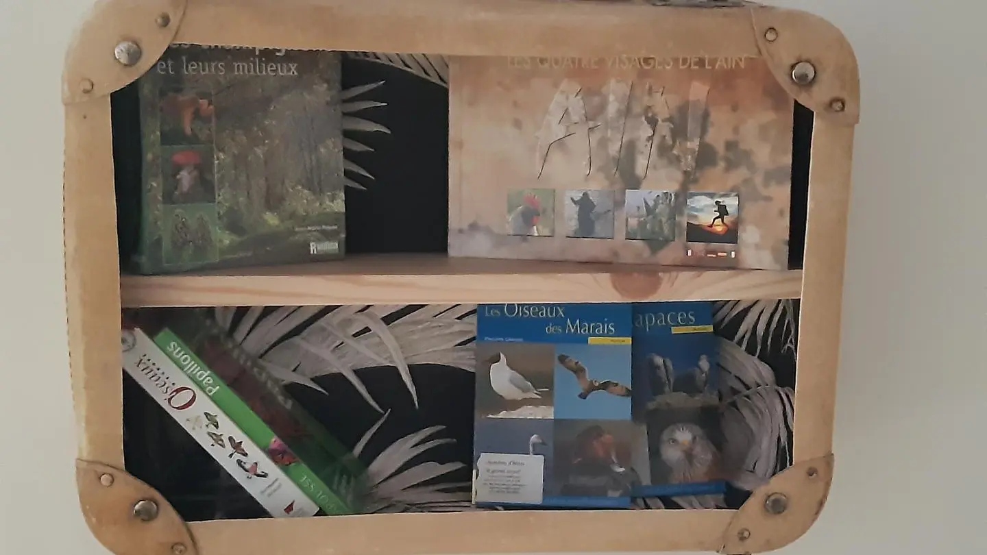 Etagère invitation au voyage