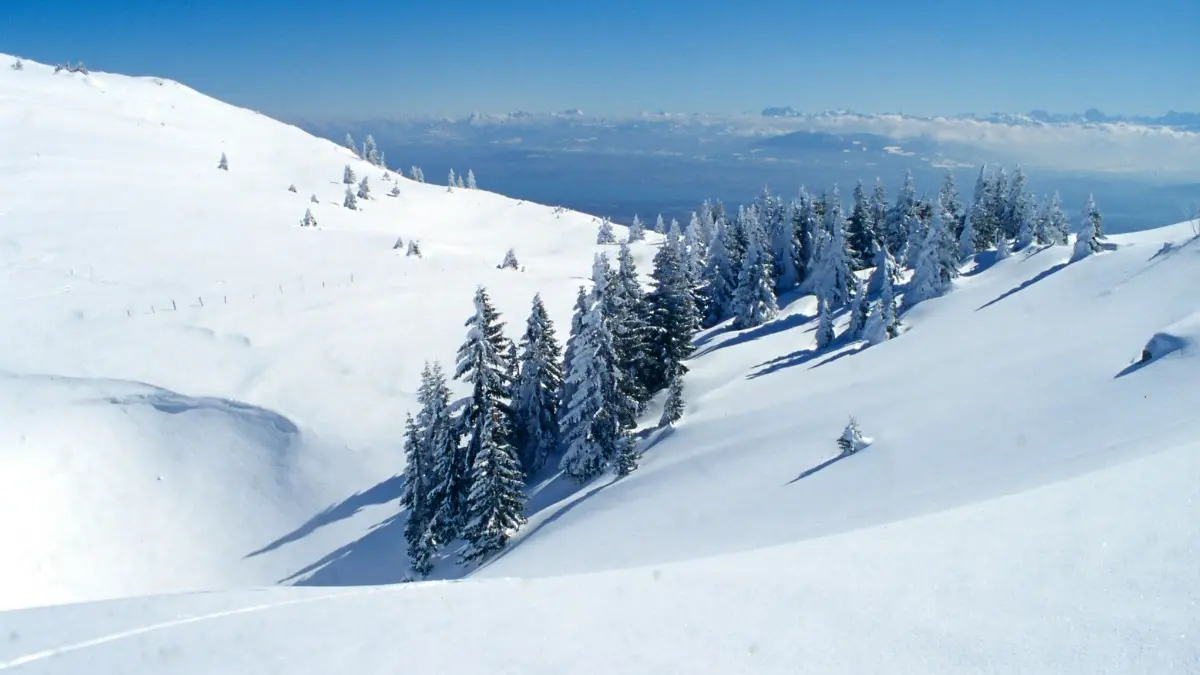 Station Monts-Jura - Combes enneigées