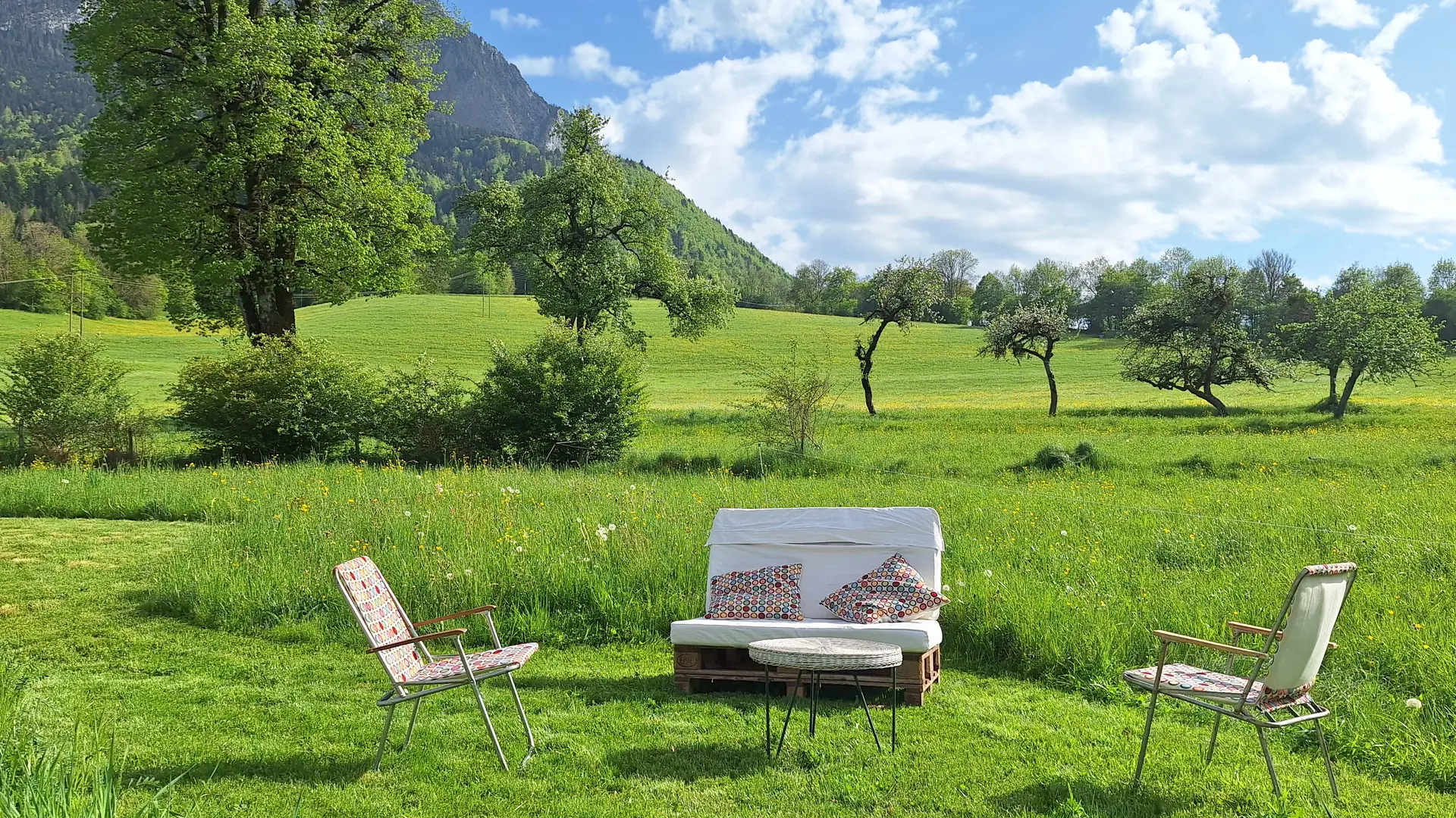 Grand jardin avec un banc et chaises de jardin