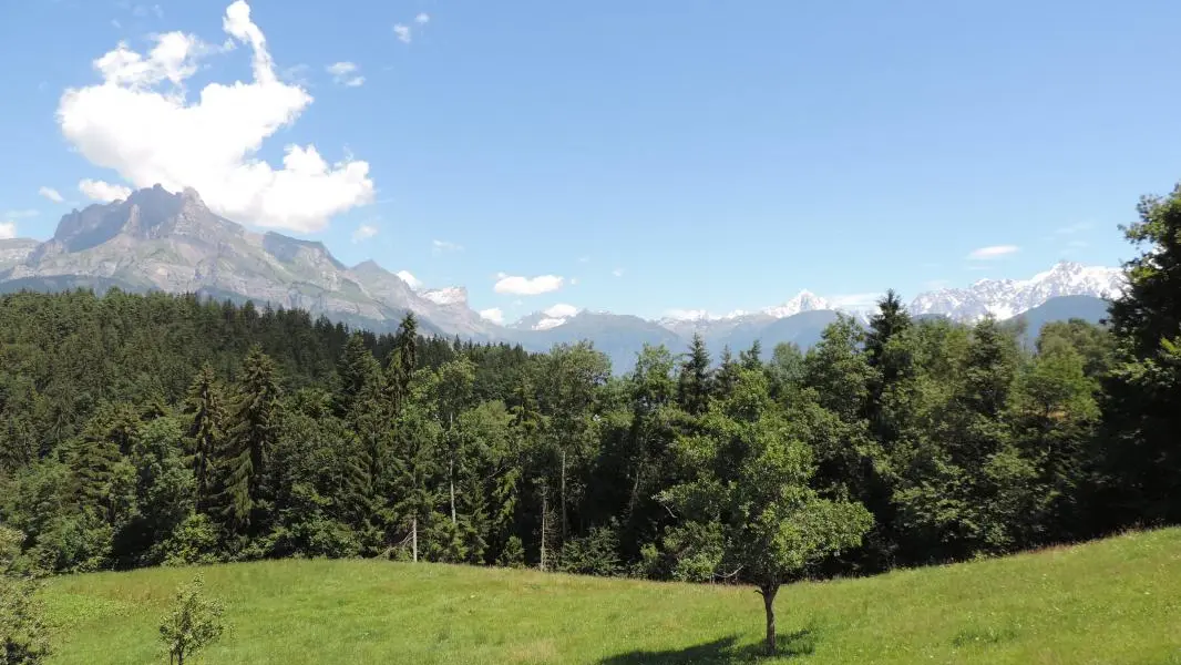 Vue depuis le séjour et la terrasse