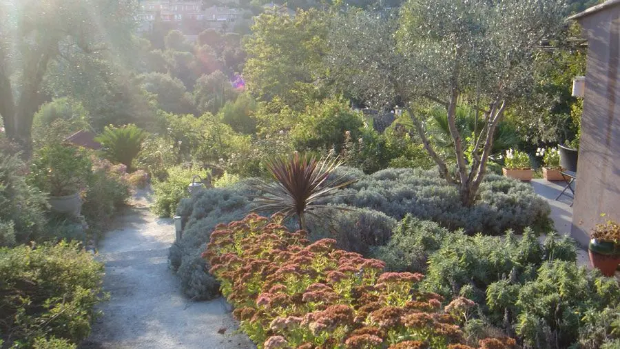 Gîte Mas de la Galinette Glycine- Escaliers dans la propriété  - Biot - Gîtes de France Alpes-Maritimes.