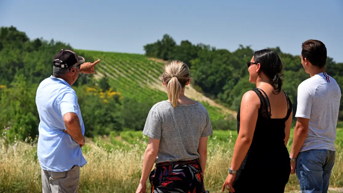 Oenotourisme Balade vigneronne pédestre