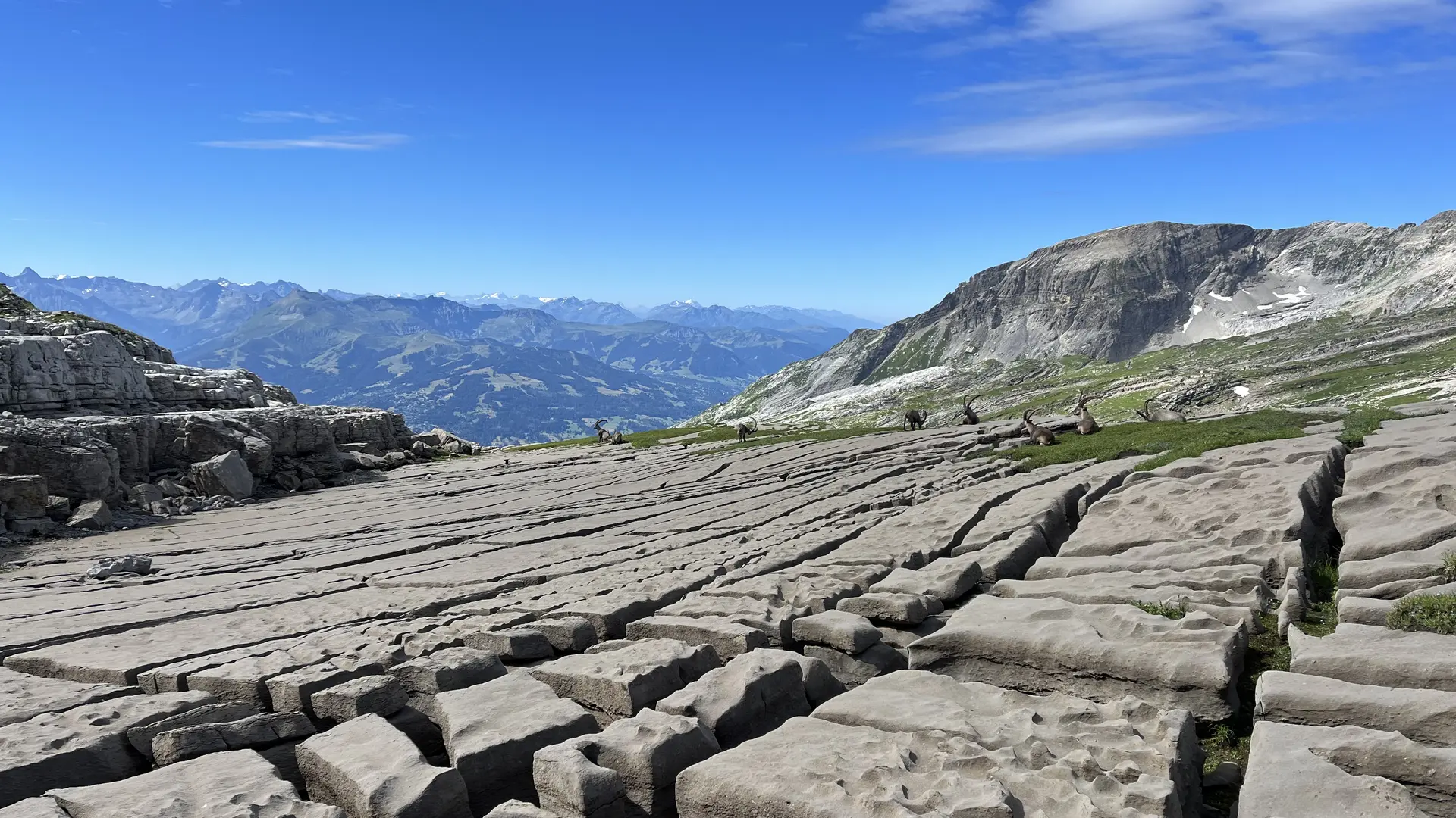 Begeleide wandeltocht door de Désert de Platé