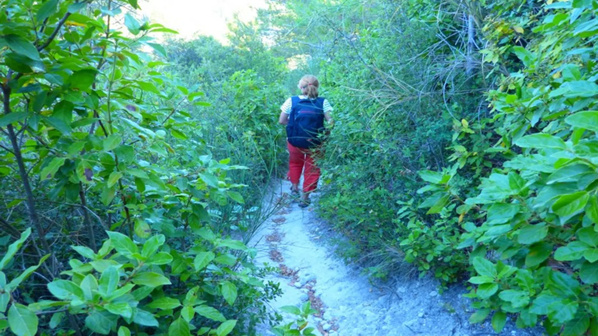 Balade au pied des Baux-de-Provence