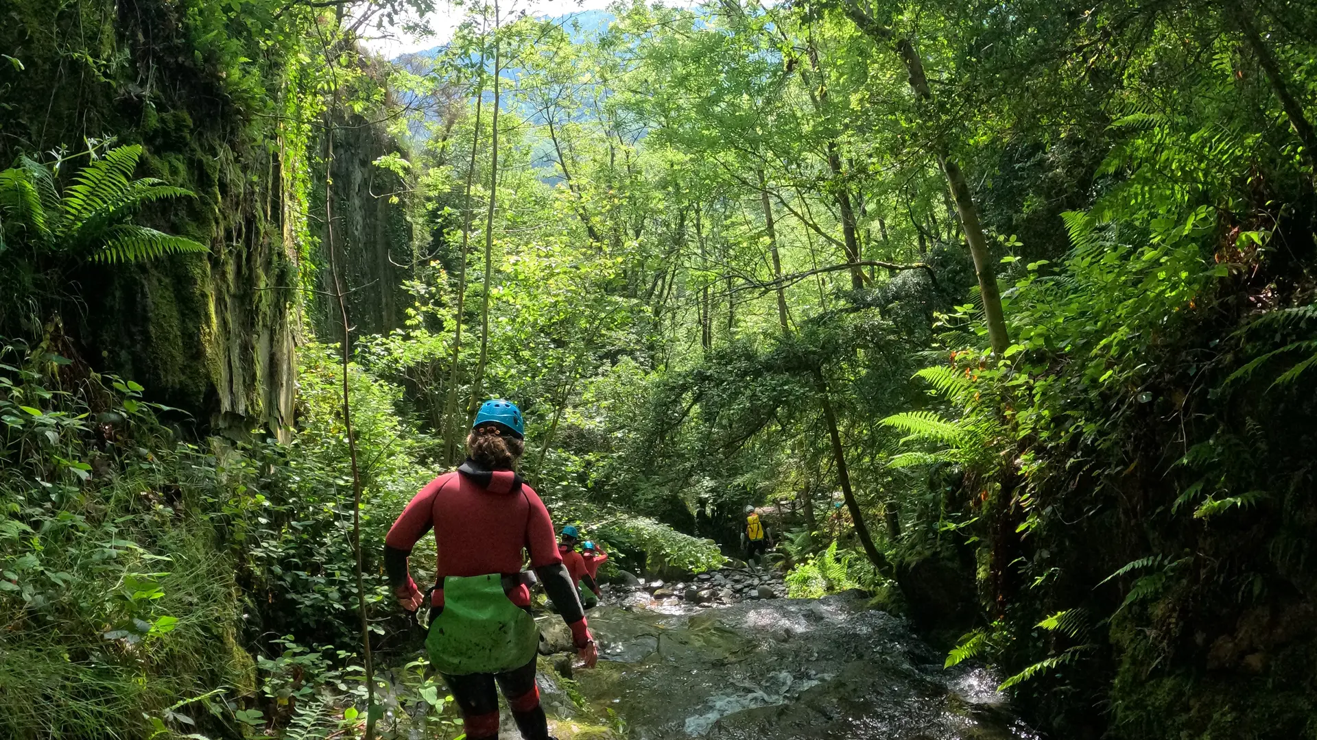 canyoning végétation luxuriante