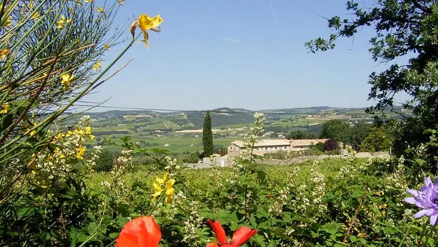 Domaine du Chêne Vert
