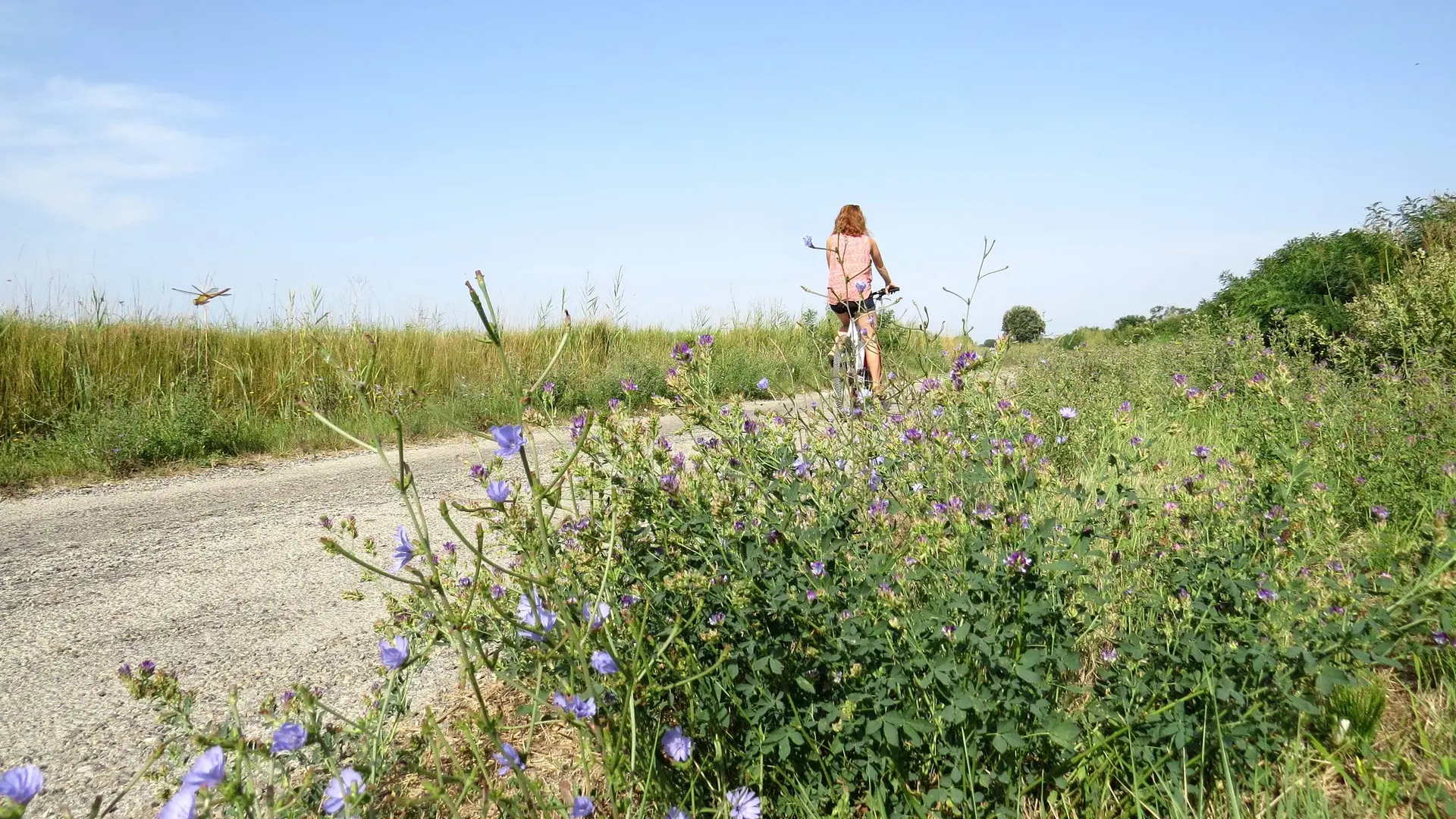 Cycliste sur la route des Figares