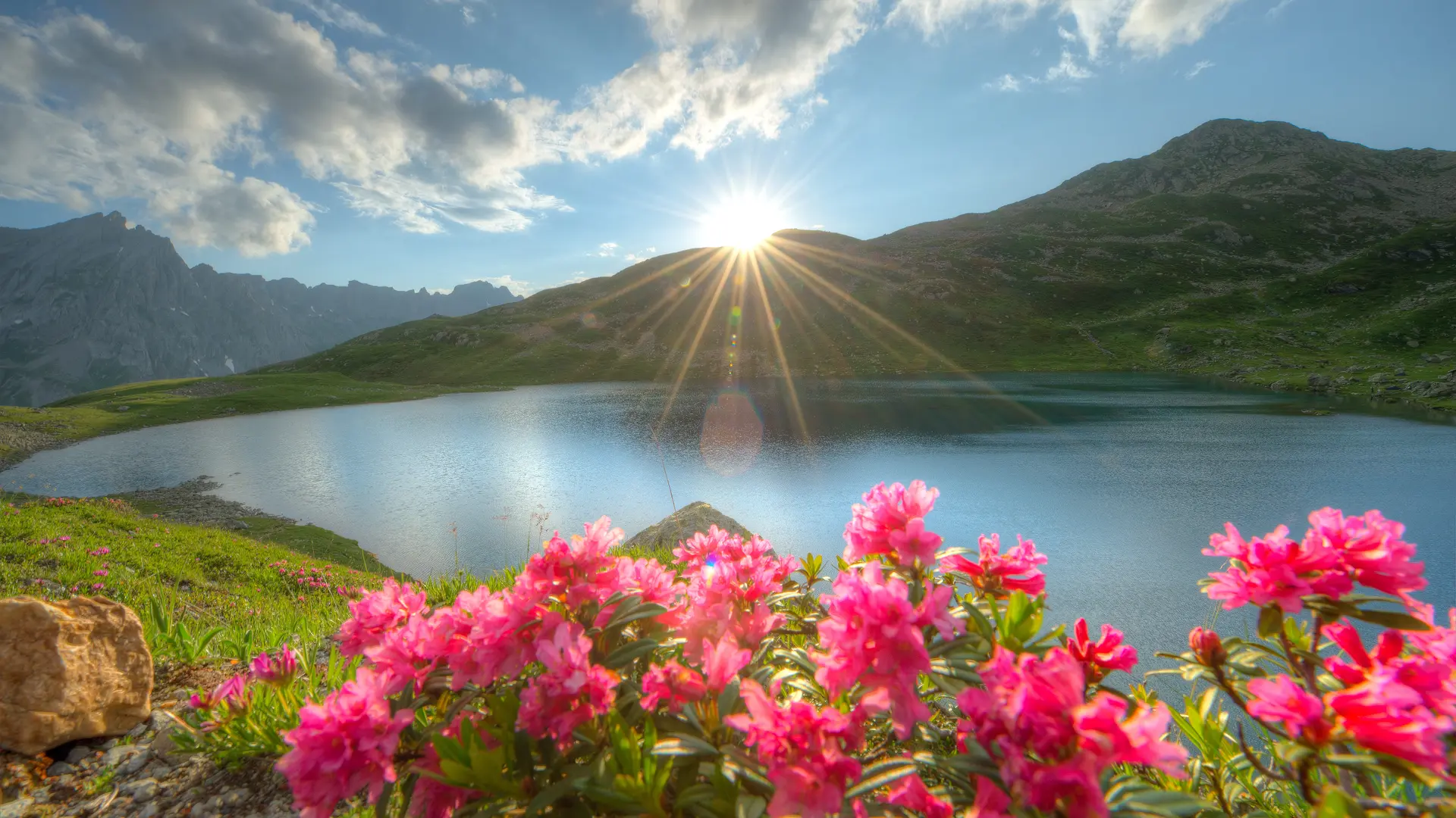 Lacs Jovet avec des fleurs de montagne
