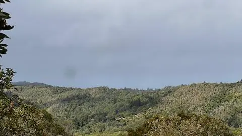 Point de vue du Pic Monnier