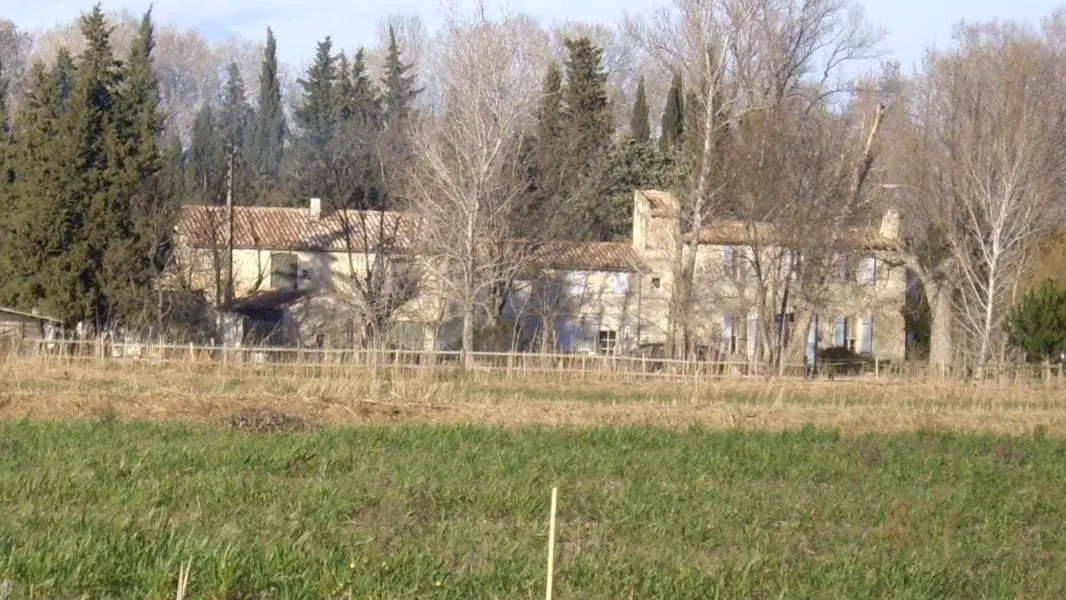photo14