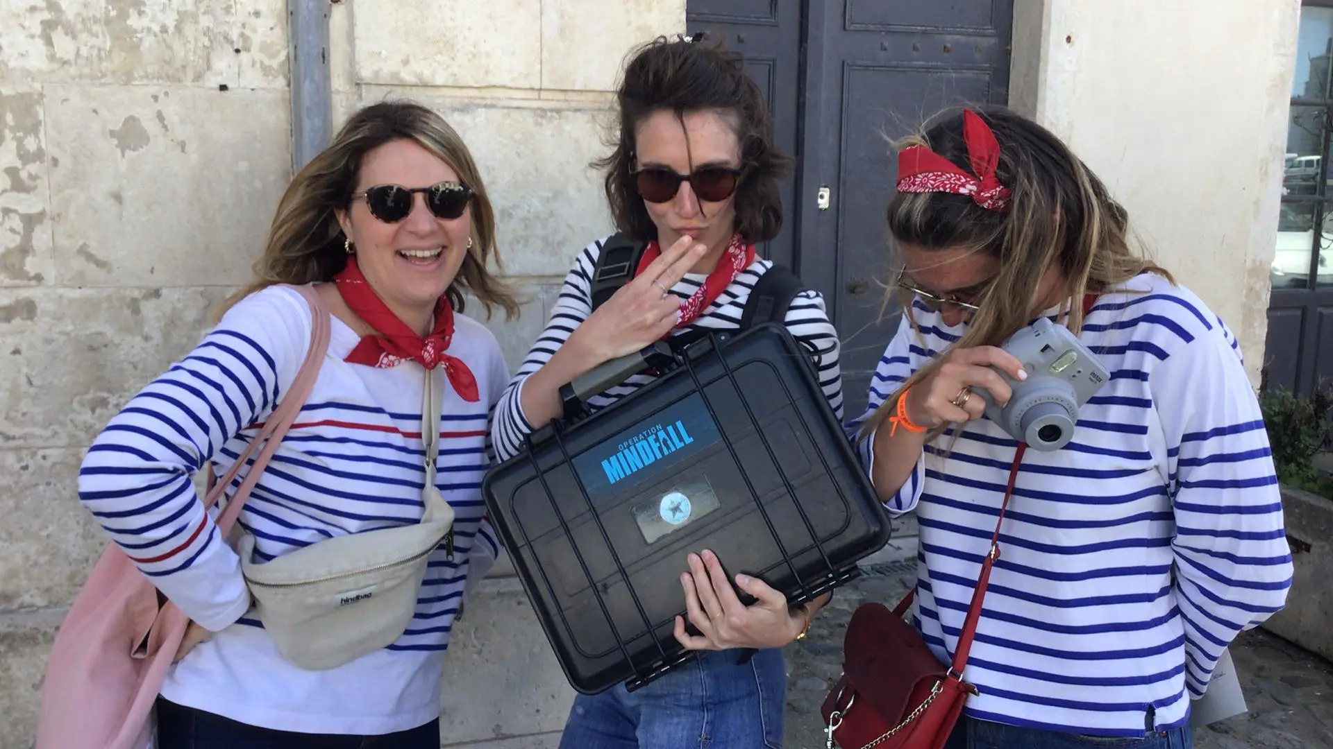 Agent secret mindfall au bois plage en ré