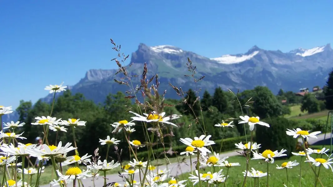 Vue du gîte