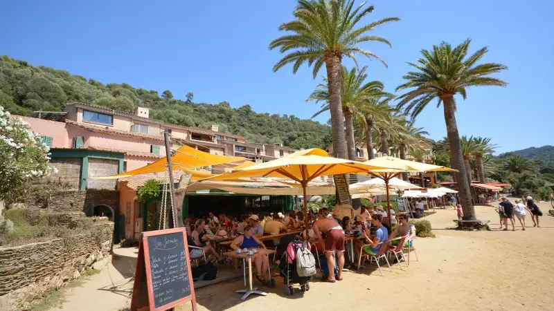 L'île de Port Cros, coeur de parc National à Hyères