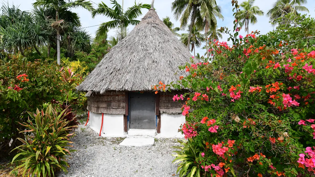 Thatched hut