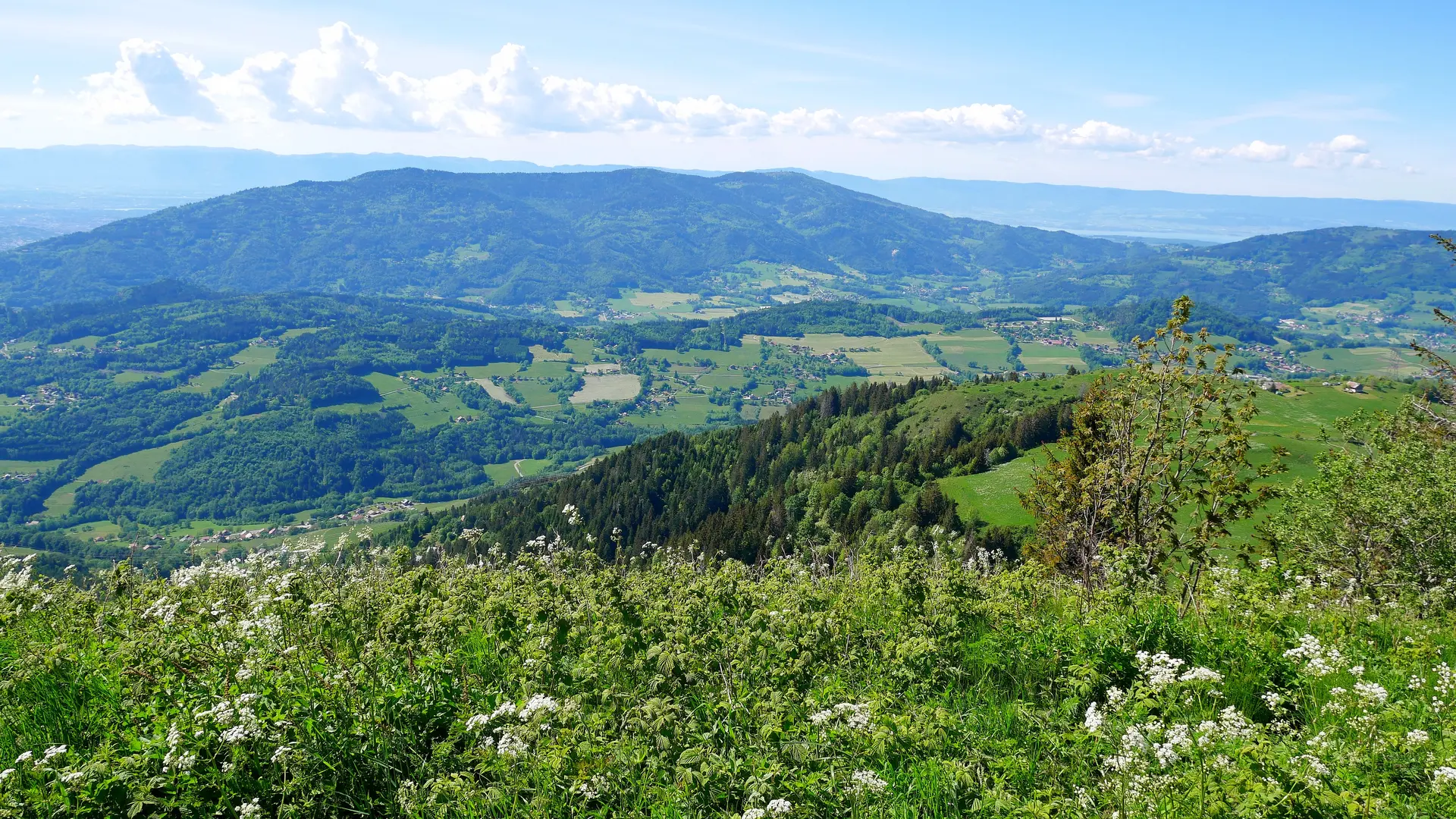 Alpage de la Joux