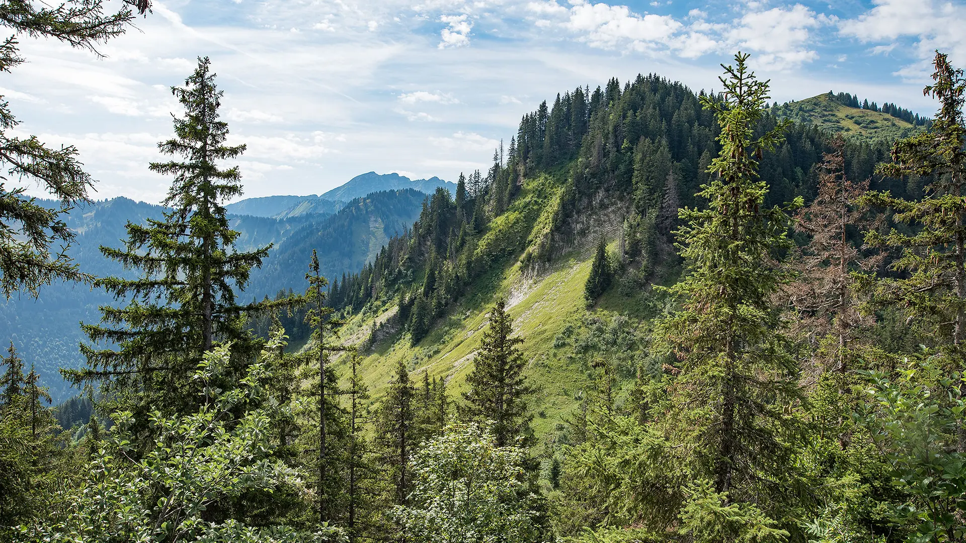 La pointe de la Gay depuis le col de la Lanche