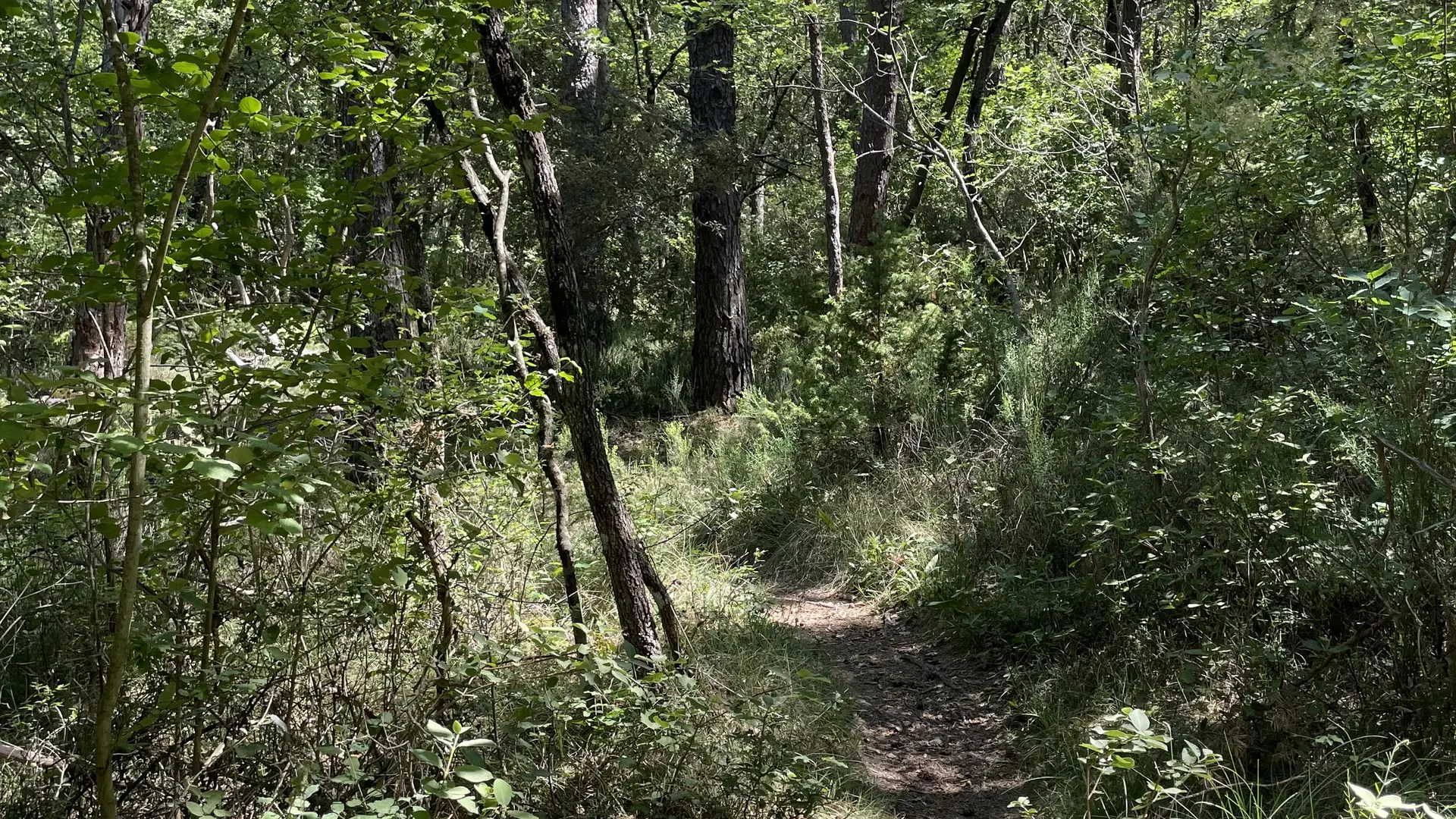 Balade des Bruyères