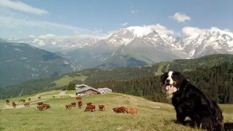 Alpage la Grand Montaz