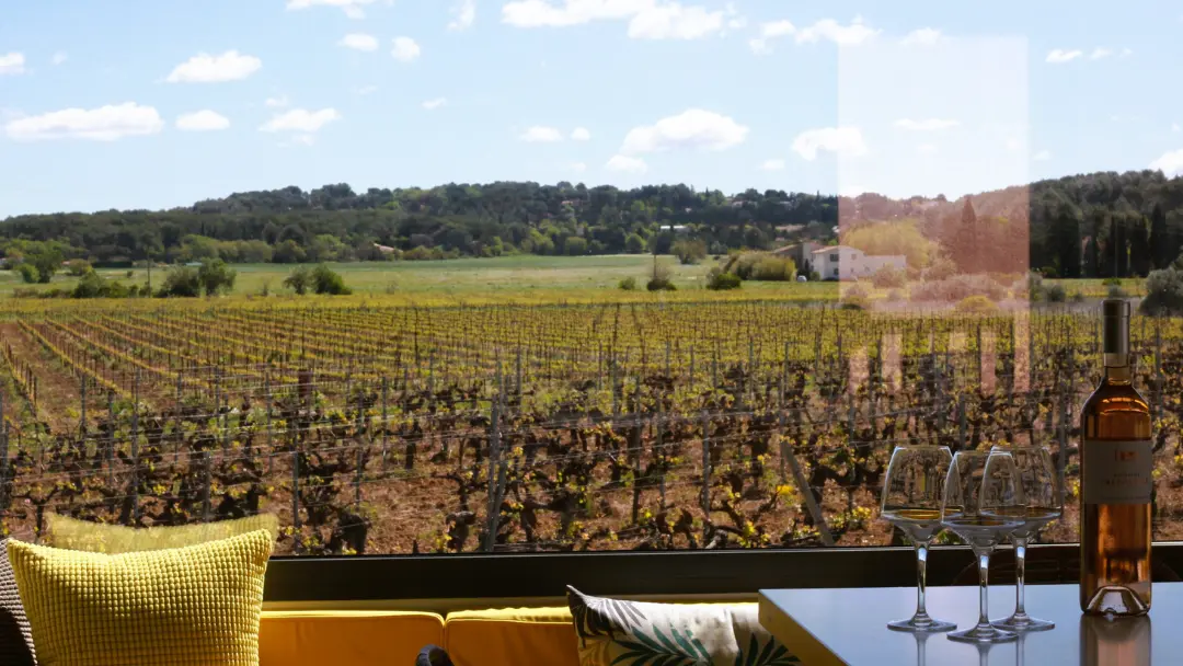 Vue sur les vignes