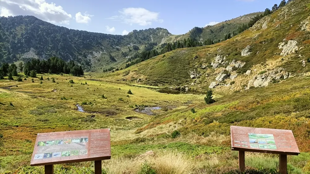 panneaux_sentier_vue_touribiere