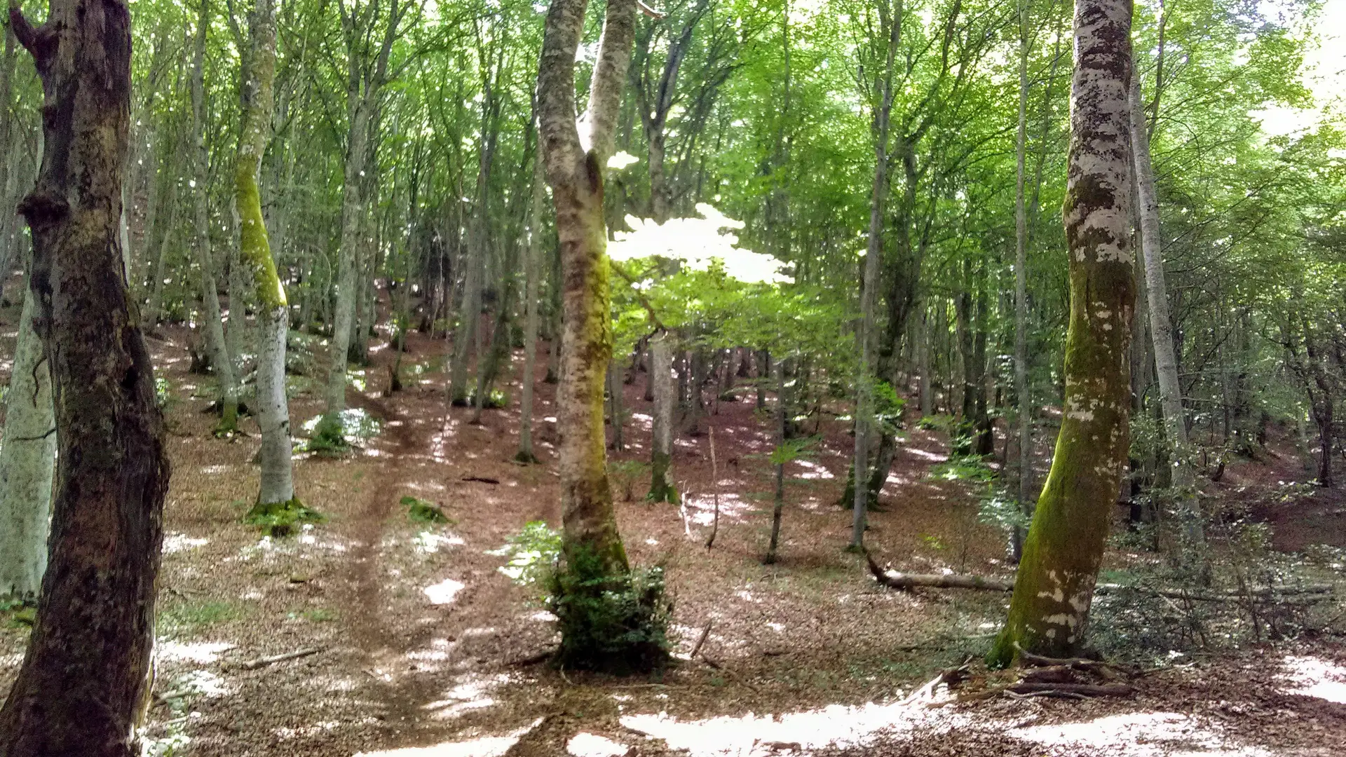 Randonnée VTT Au cœur des Puys