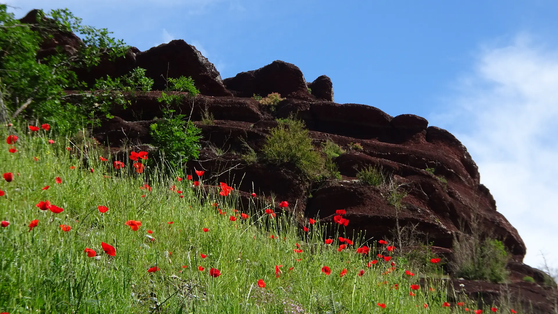©RNR gorges de Daluis - Aymeric Saulnier