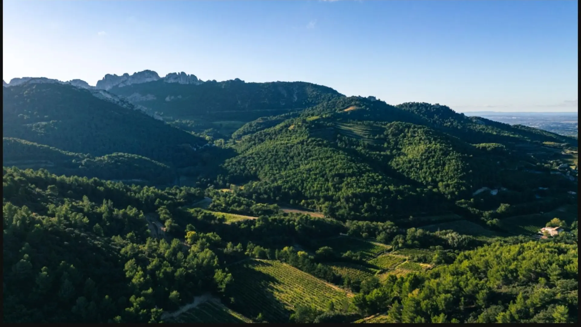 seul au monde, loin de toute pollution, nos vignes...