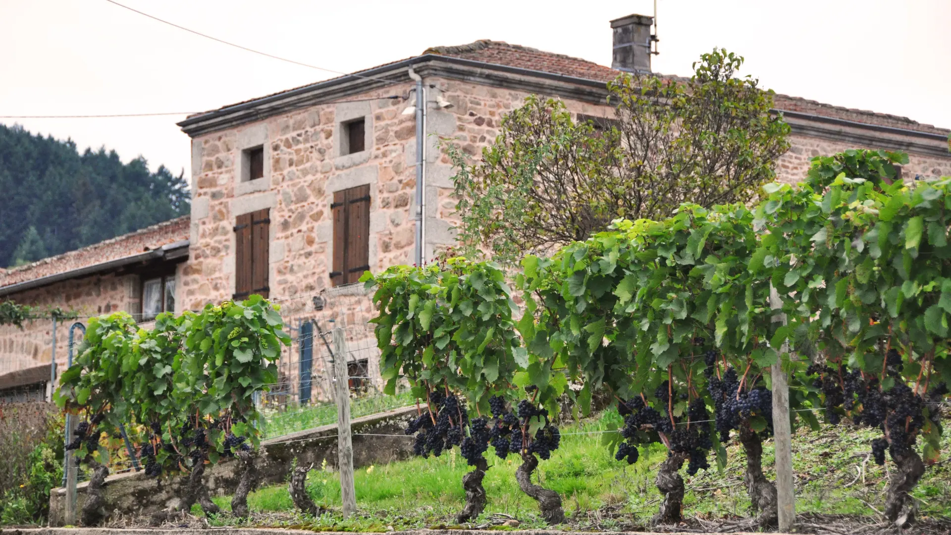 Domaine Désormière