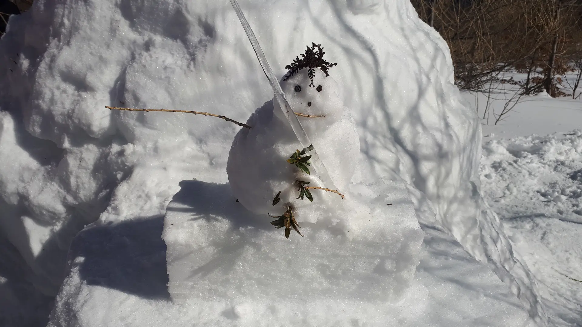 igloo et bonhomme de neige