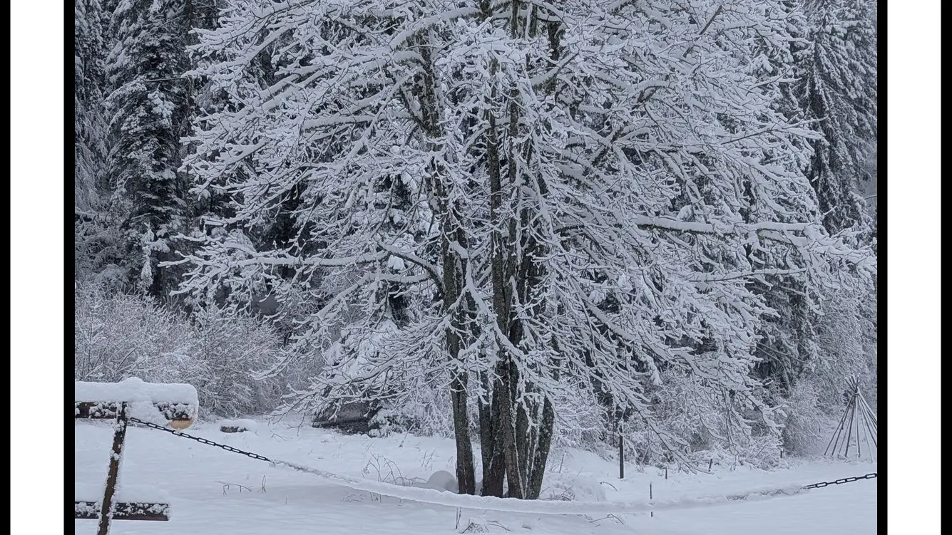 La table de jardin sous la neige