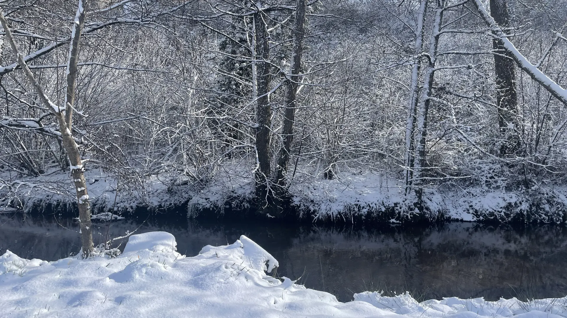 Ruisseau à proximité
