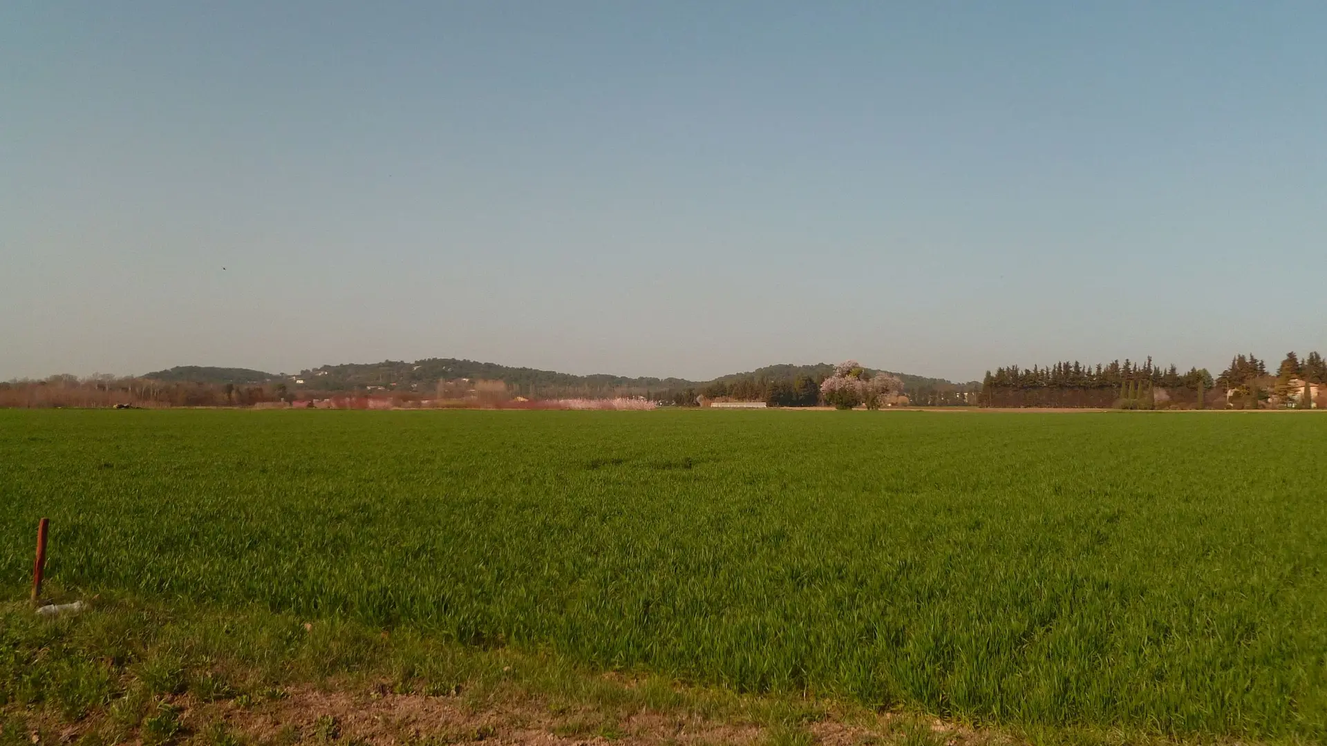 Champs - chemin des Fourches