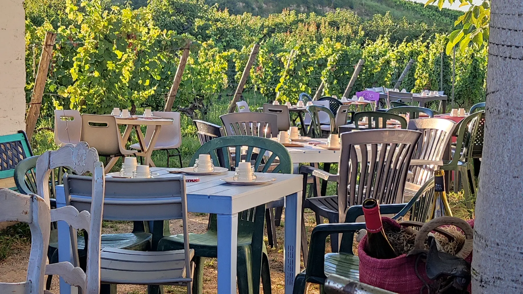 La balade du canotier et du petit train des vignes