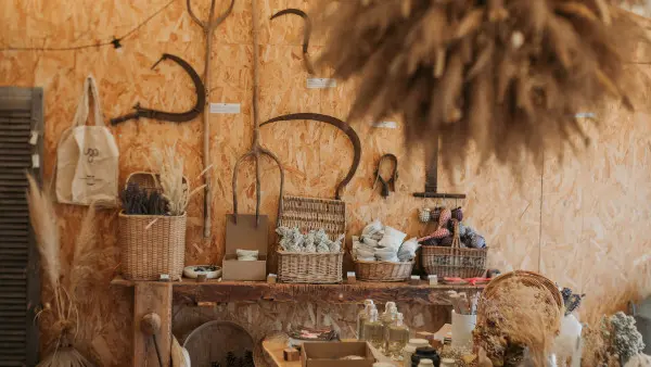 Visit Lavender field in Aix en Provence