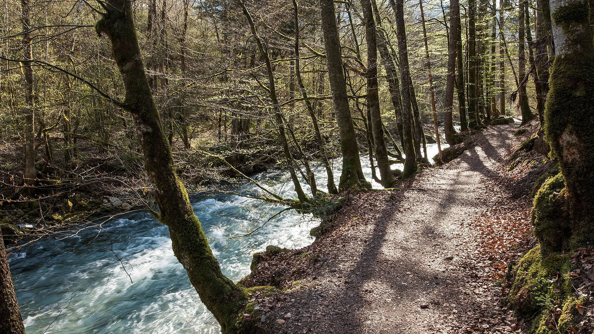 Chemin des bords de dranse