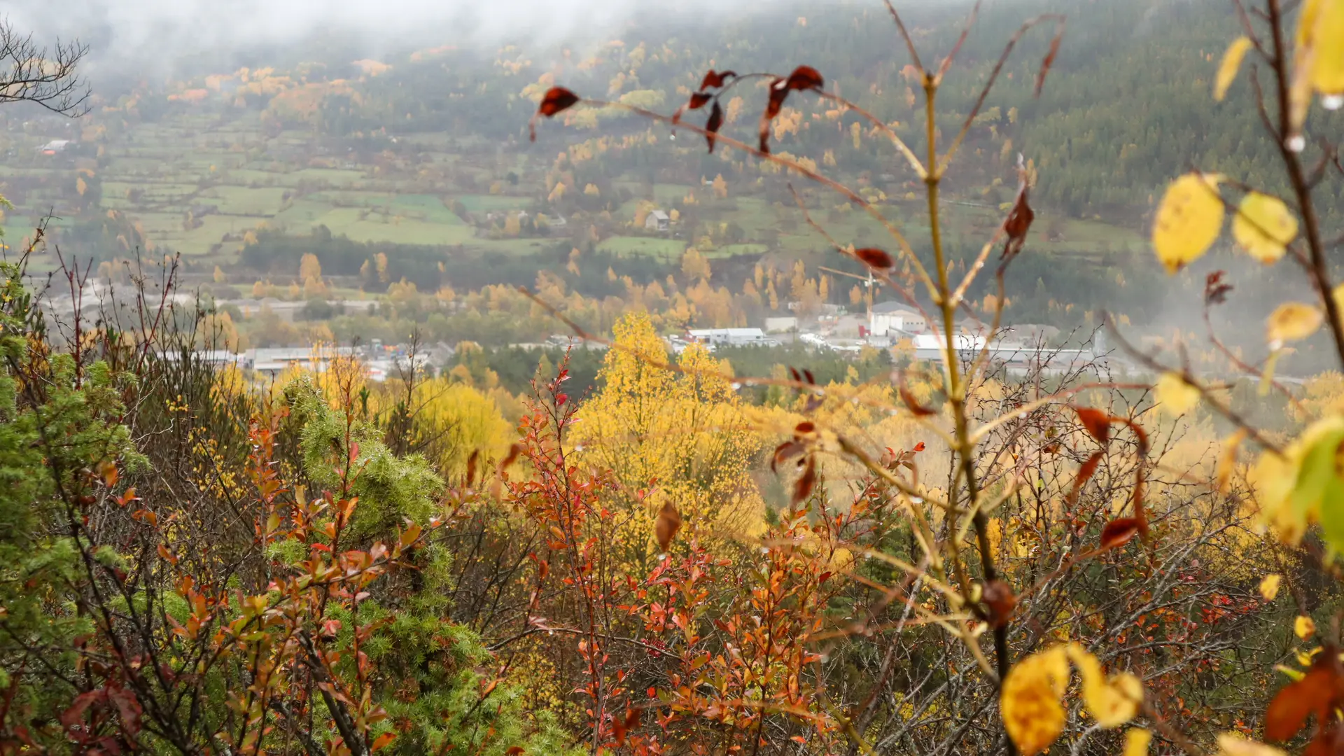 Sentier d'Art Puy-Saint-André