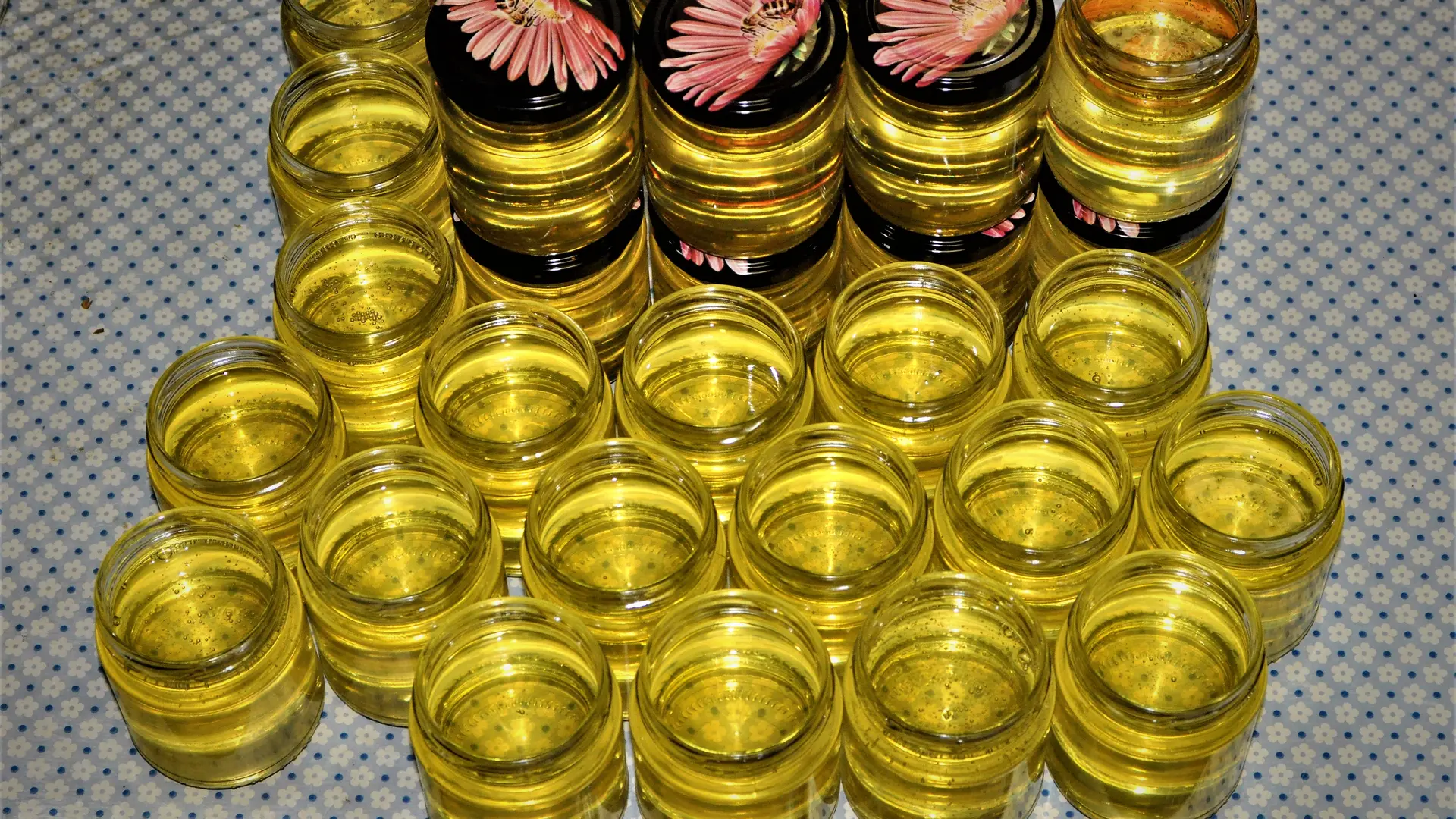 Ruche du monde comps