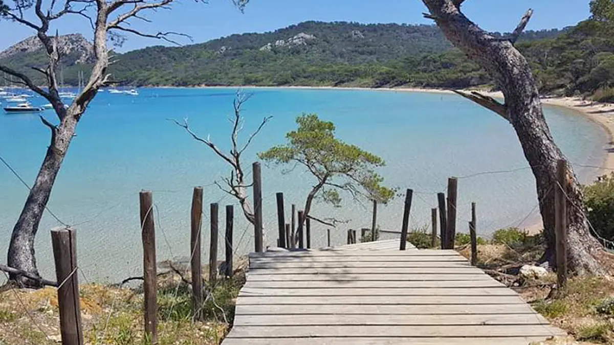 Sorties en mer - Ile de Porquerolles