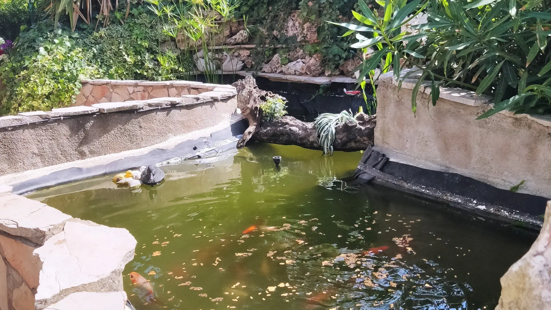 Jardin