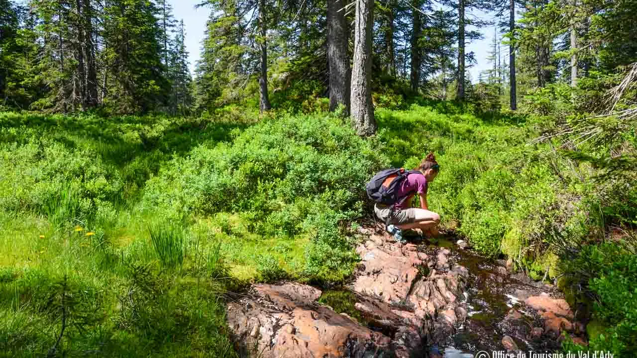 Sentier des Arpelières - Découverte d'une véritable tourbière préservée