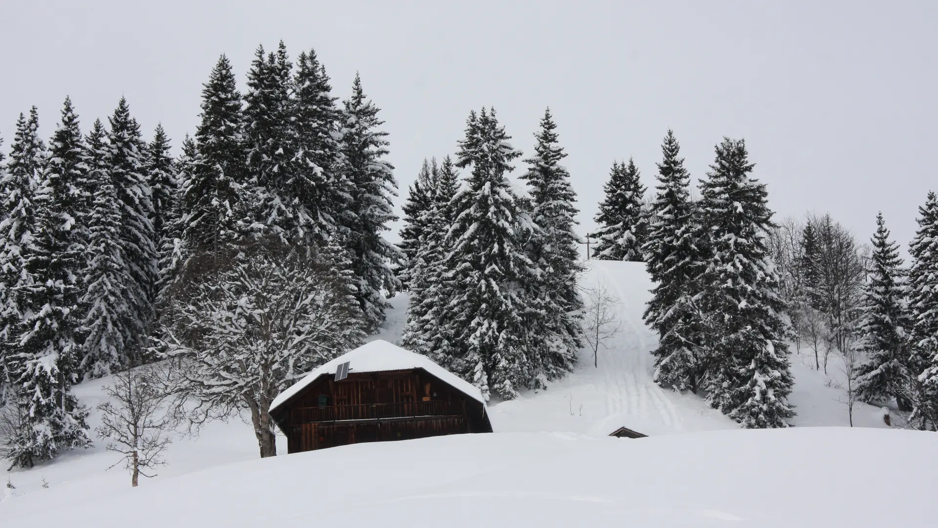 Vue depuis le Plan Mousi, à la sortie de la forêt